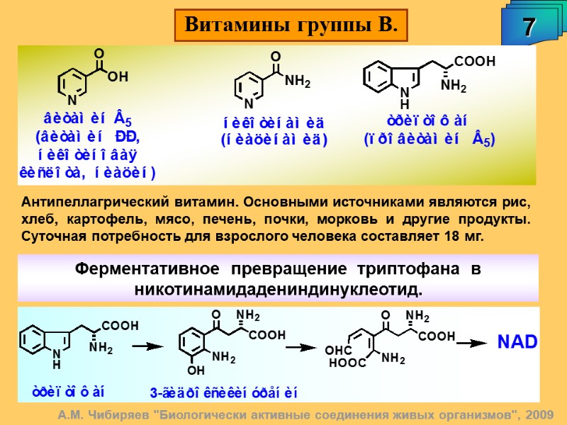 А.М. Чибиряев 